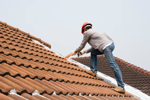 Roof Insulation in Hazel Park, MI