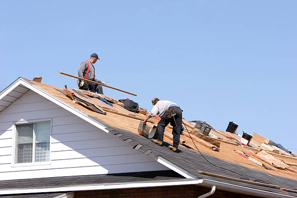Best Roof Coating and Sealing  in Hazel Park, MI